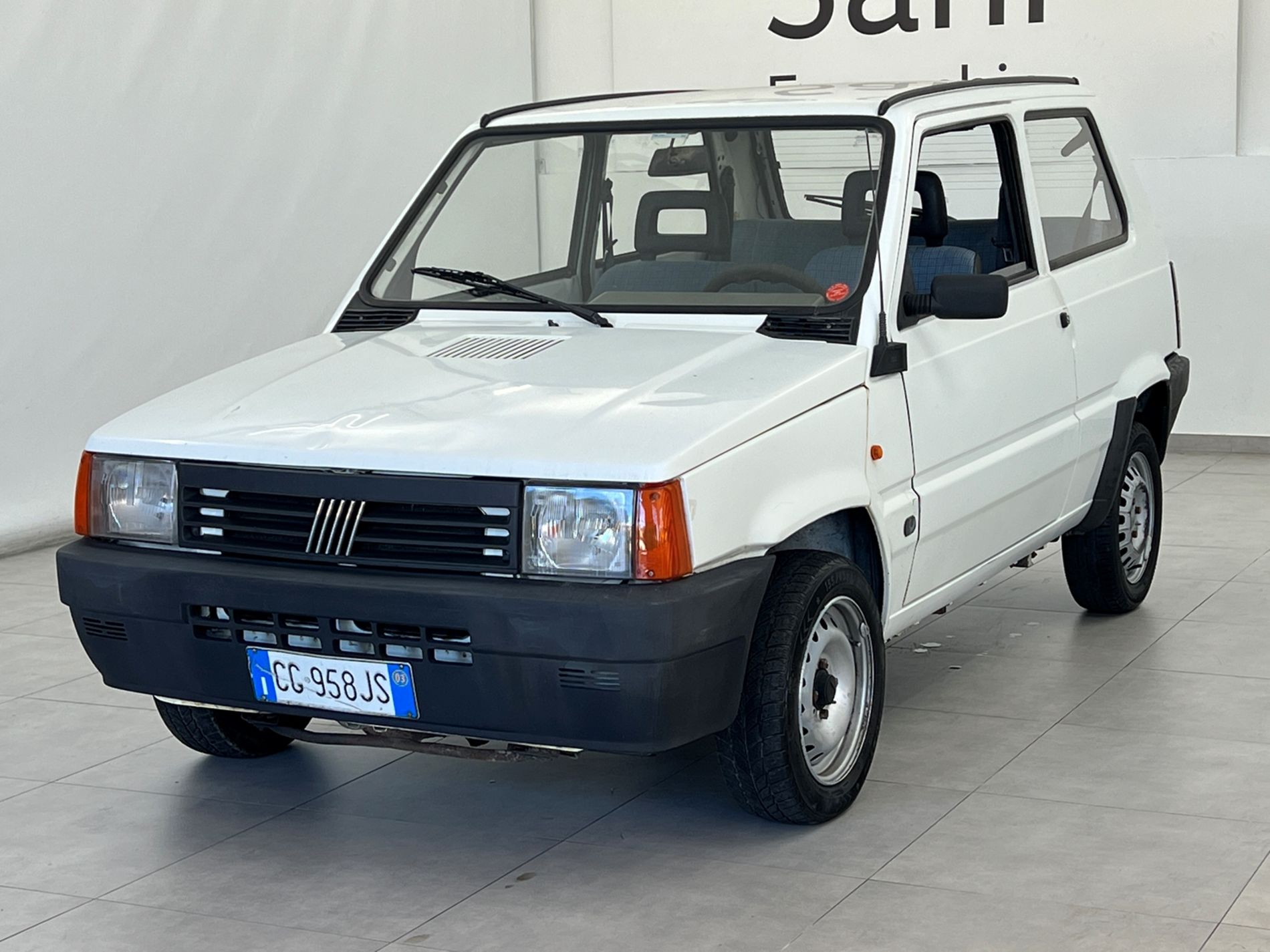 Panda 1.1 Young - Autosani