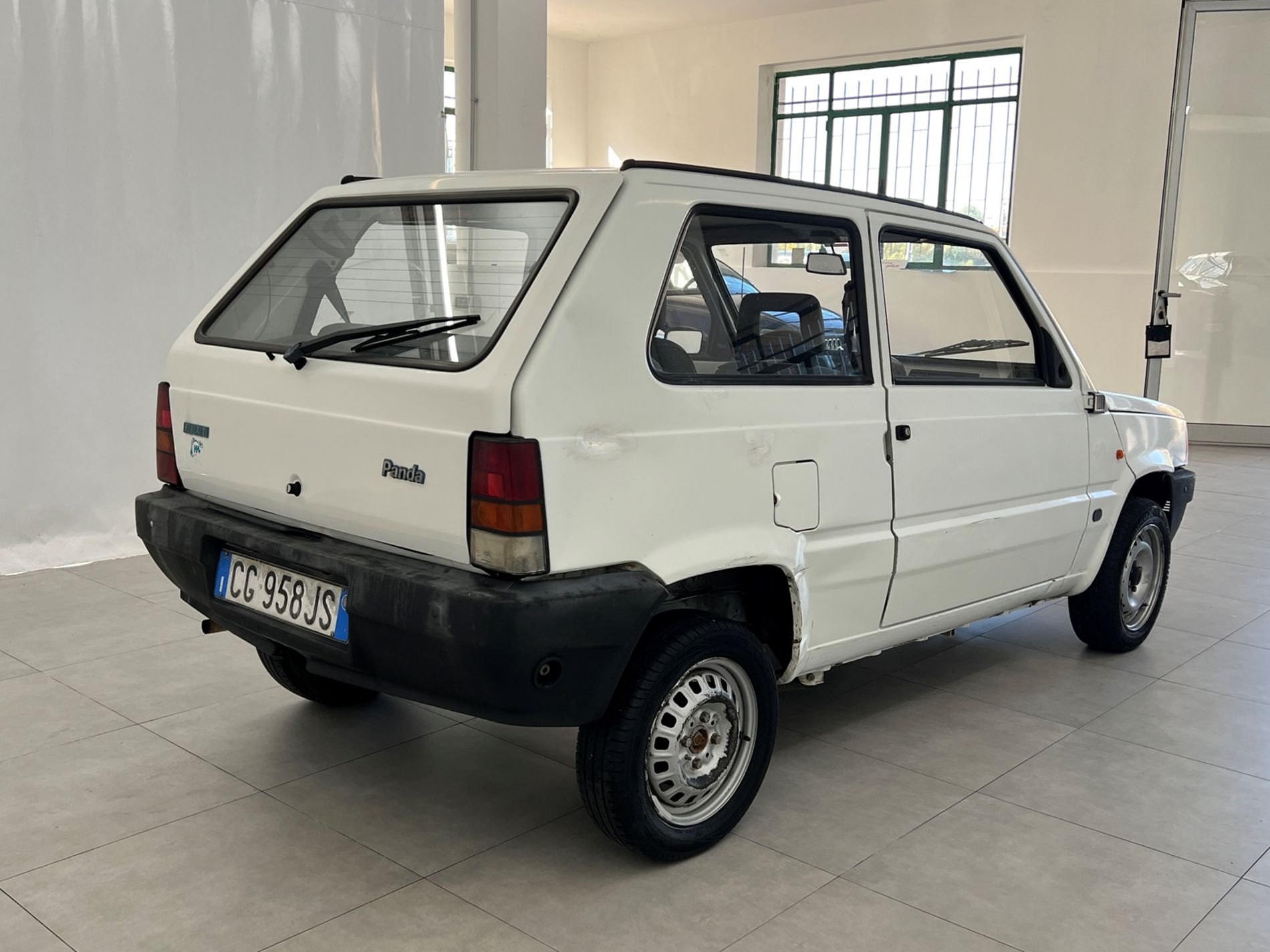Panda 1.1 Young - Autosani