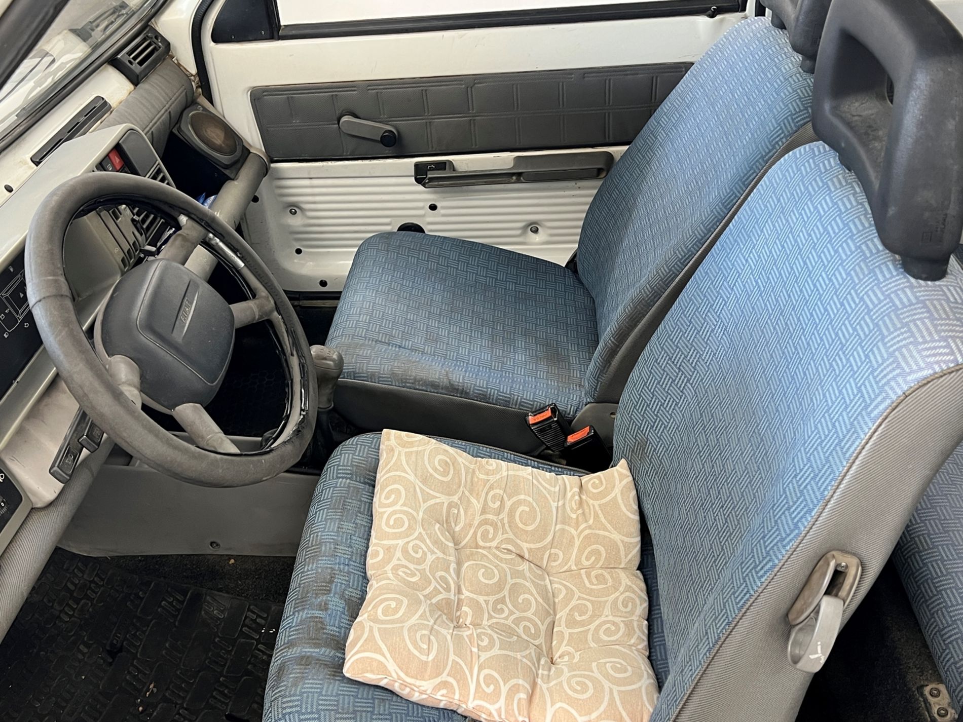 Panda 1.1 Young - Autosani