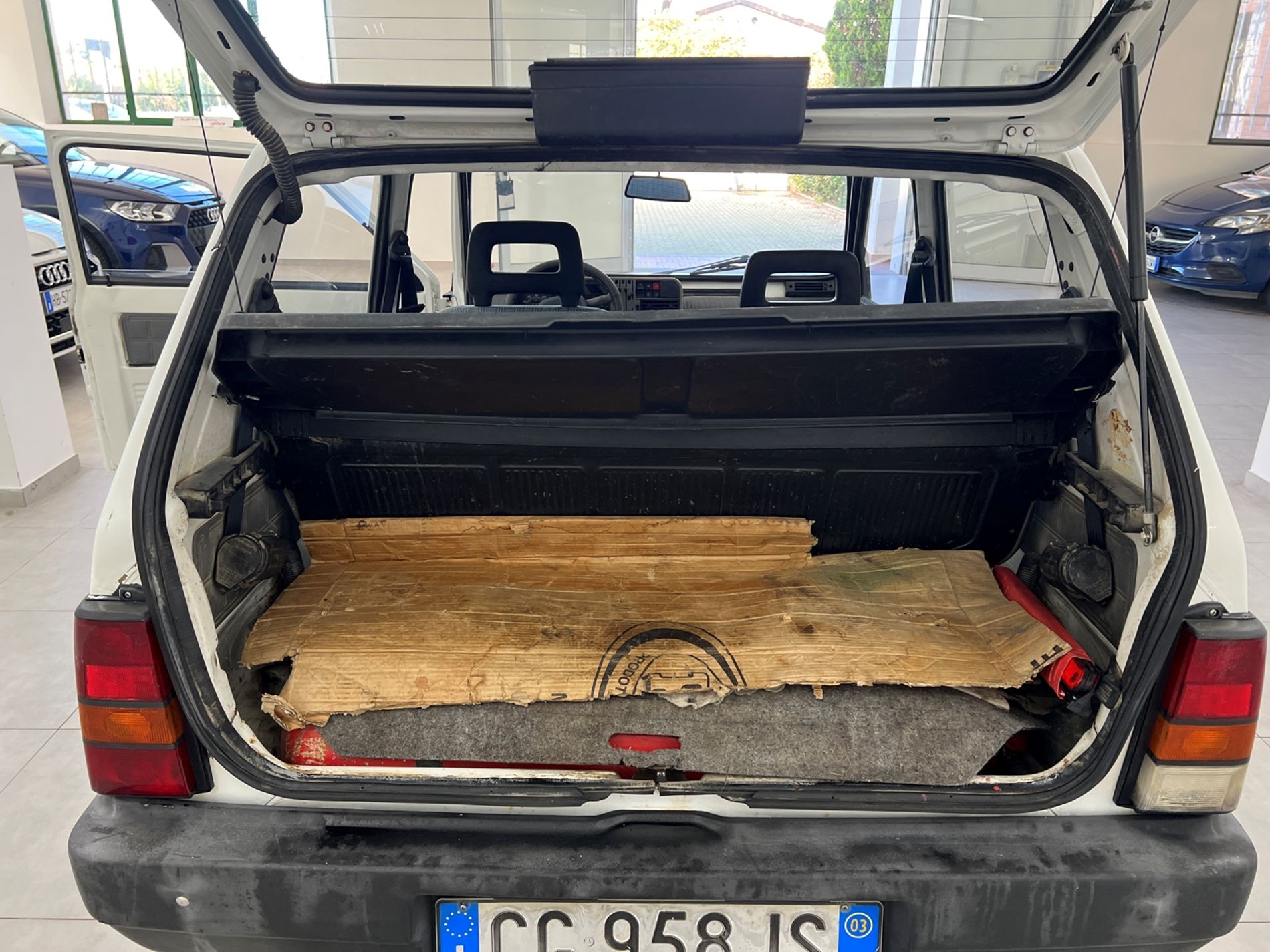 Panda 1.1 Young - Autosani